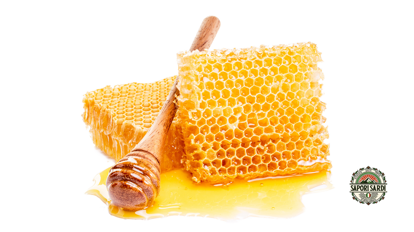 Sanamel – Balsam Eukalyptushonig mit Propolis & Menthol