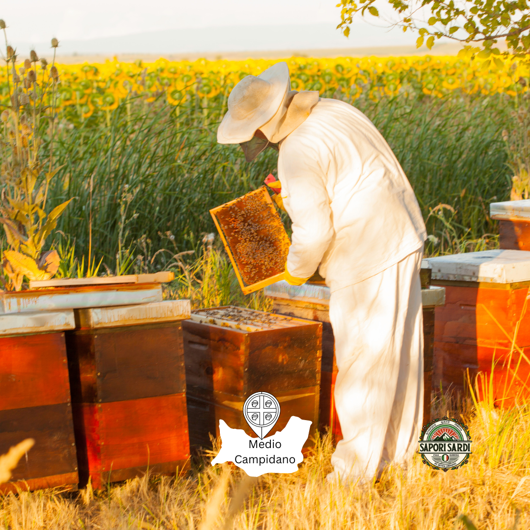 Imker auf Sardinien auf einem Feld mit seinen Binenstoecken.