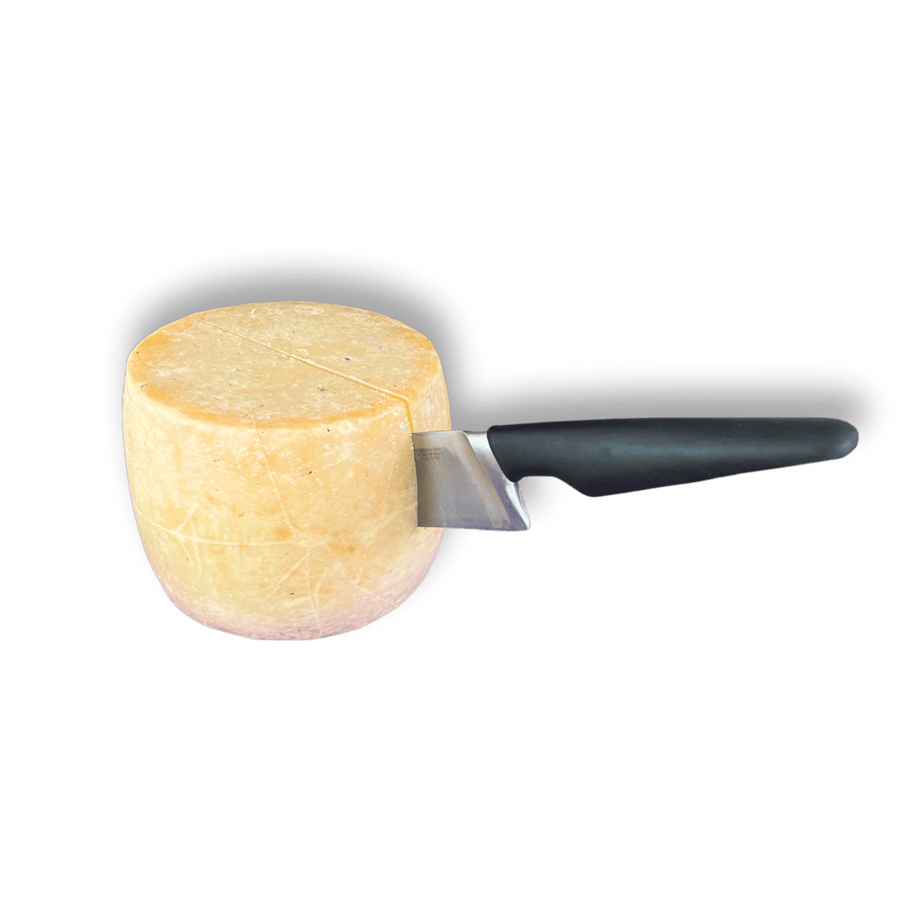 BIO Pecorino "Norax" - Traditioneller Schafskäse aus Sardinien - Mild - Sapori Sardi