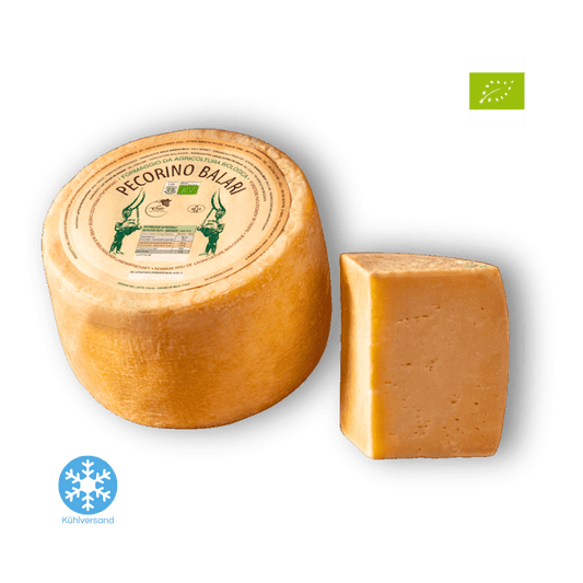 Bio Pecorino "Balari" – Schafskäse aus Sardinien - Mild-Würzig