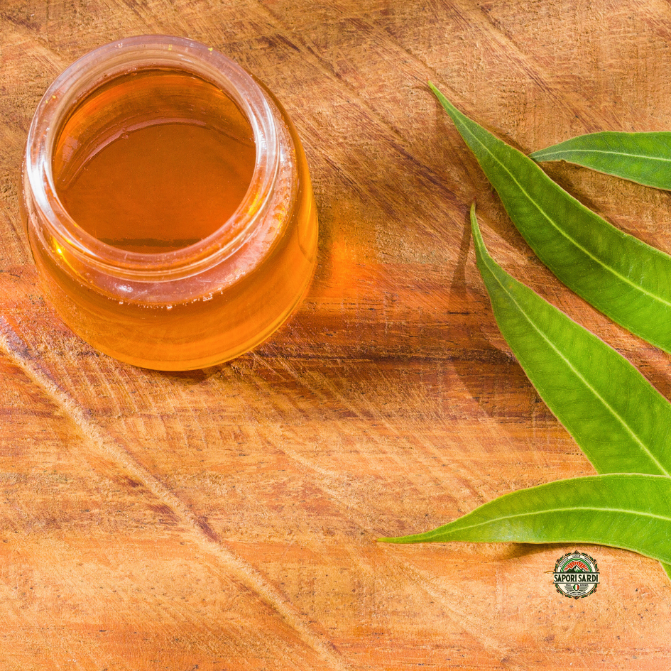 Eukalyptushonig aus Sardinien