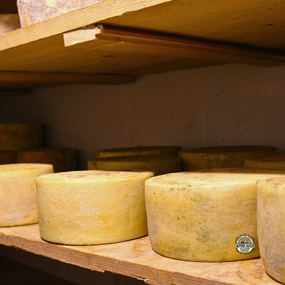 Handgemachter Pecorino Sardo in einem Lager in Sardinien bei einem Bauern. Familienbetrieb