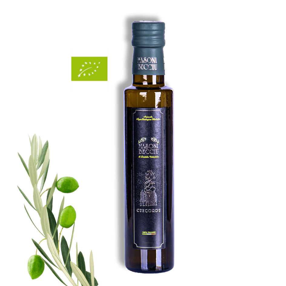 Eine Flasche von dem Olivenöl Extra Vergine Cuncordu von MasoniBecciu. Ein Bio Olivenöl aus Sardinien. Links im Bild dekorativ ein Olivenzweig.
