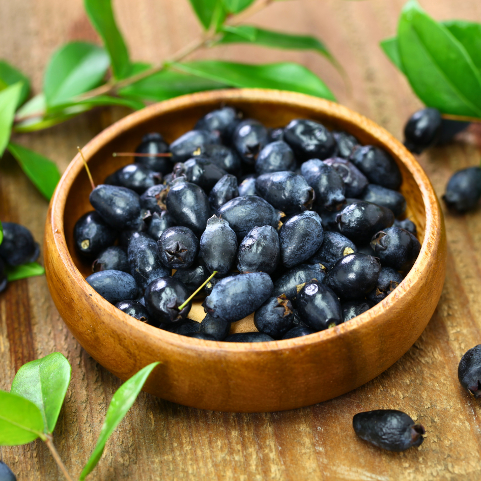 Beeren der Myrte aus Sardinien
