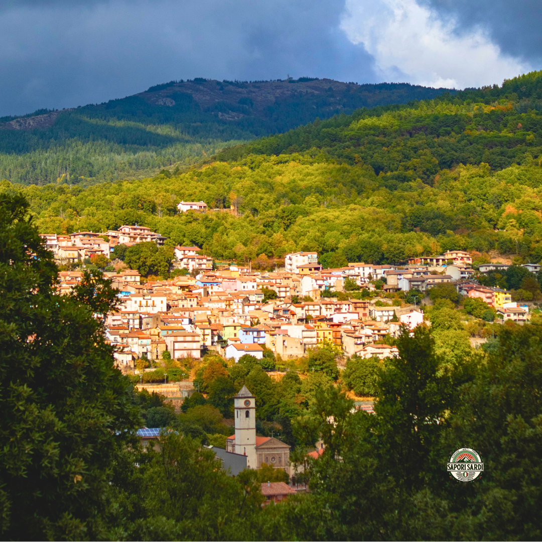 Tonara in Sardinien von einem Berg aus der ferne zu sehen. Das Licht dämmert. Unten rechts ist das Logo von Sapori Sardi zu sehen.