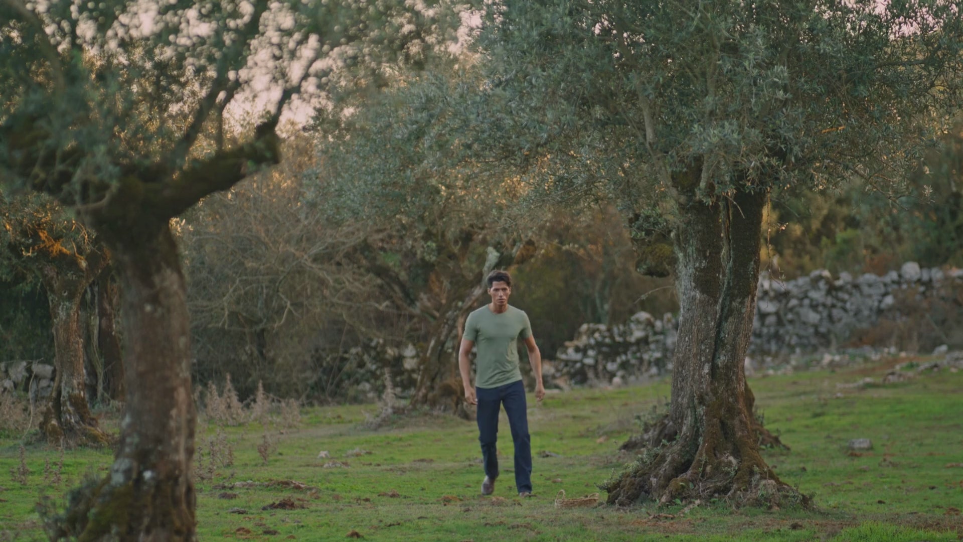 Ein Video über die Produktion und traditionelle Herstellung von Extra Vergine Olivenöl auf Sardinien. Man sieht einen jungen Olivenbauern zwischen den Olivenhainen, Menschen die Oliven ernten, wie Oliven gepresst werden unter einer Steinmühle und wie das Olivenöl anschließend abgefüllt wird. Zuletzt das Logo von Sapri Sardi.