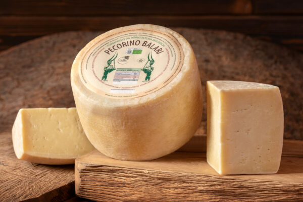 Pecorino Balari